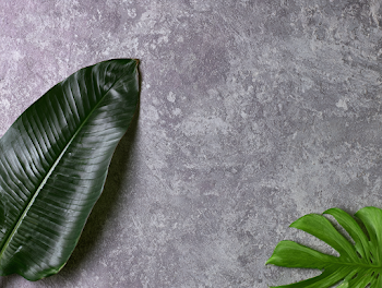 Minimal Botanical Still Life with Tropical Leaves