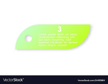 Minimal brochure templates with elements on whte vector image