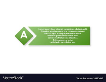 Minimal brochure templates with elements on whte vector image