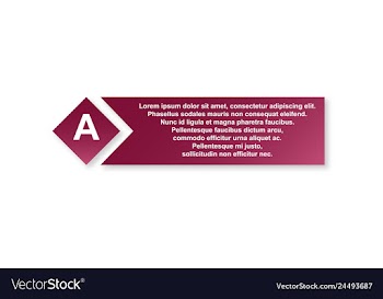 Minimal brochure templates with elements on whte vector image