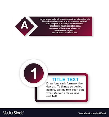Minimal brochure templates with elements on whte vector image