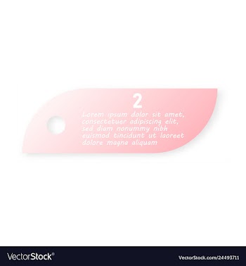Minimal brochure templates with elements on whte vector image