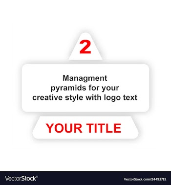 Minimal brochure templates with elements on whte vector image
