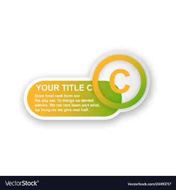 Minimal brochure templates with elements on whte vector image