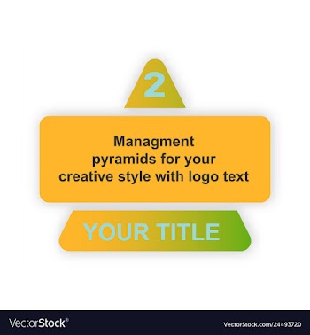 Minimal brochure templates with elements on whte vector image