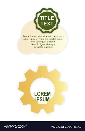 Minimal brochure templates with elements on whte vector image