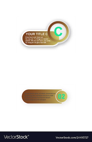 Minimal brochure templates with elements on whte vector image