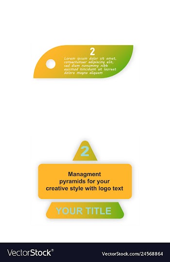 Minimal brochure templates with elements on whte vector image