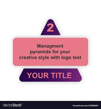 Minimal brochure templates with elements on whte vector image
