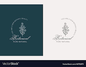 minimal feminine botanical floral branch and logo