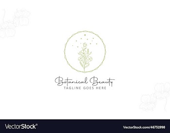 minimal feminine botanical floral branch and logo