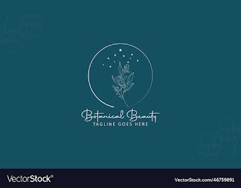 minimal feminine botanical floral branch and logo