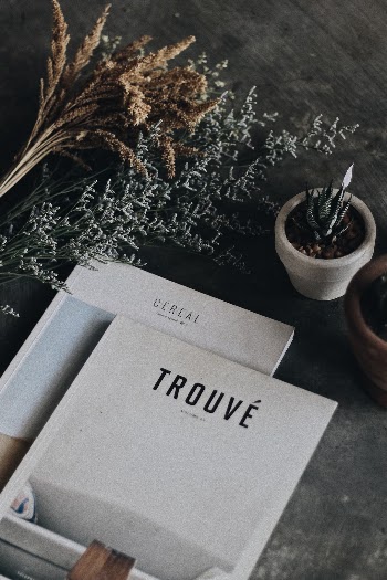Minimal magazines surrounded by plants and succulents on a stone background.