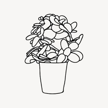 Minimal potted plant drawing, line | Free Vector - rawpixel