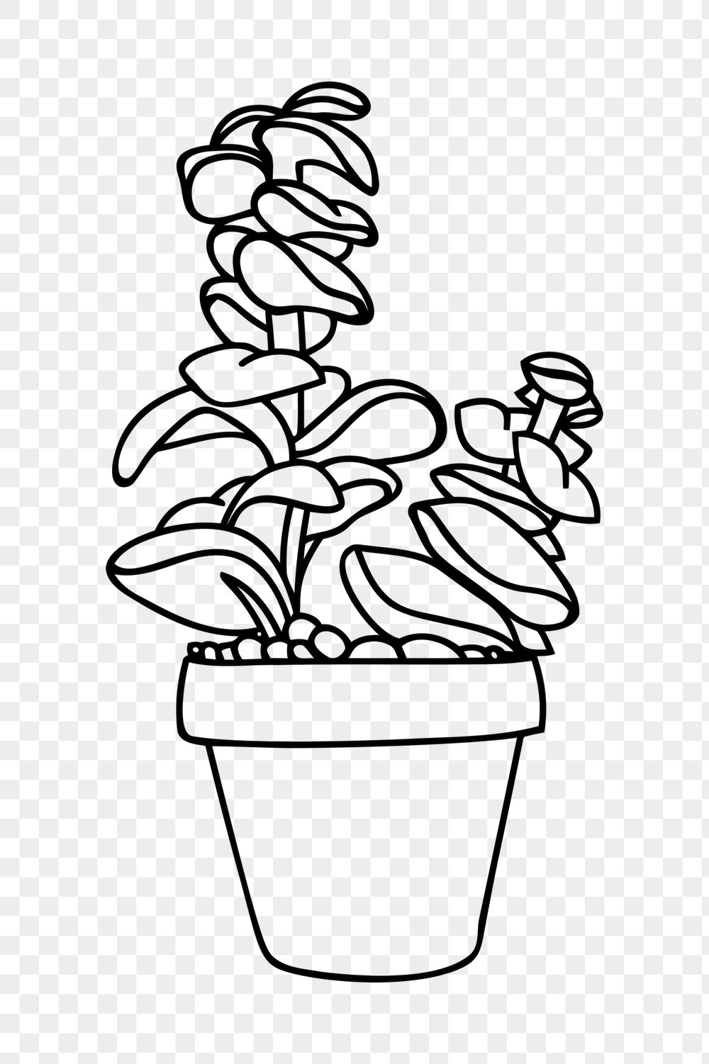 Minimal potted plant png sticker, | Free PNG - rawpixel