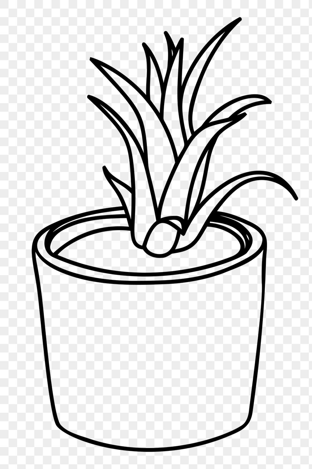 Minimal potted plant png sticker, | Free PNG - rawpixel