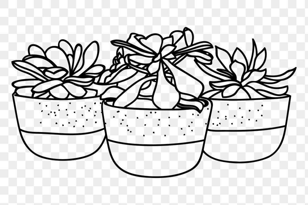 Minimal potted plant png sticker, | Free PNG - rawpixel