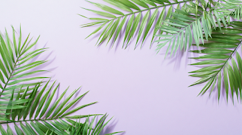 Minimal Tropical Botanical Flat Lay