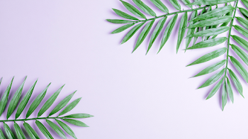 Minimal Tropical Botanical Flat Lay on Lavender Background