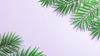 Minimal Tropical Botanical Flat Lay with Palm Fronds