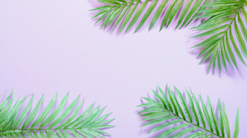Minimal Tropical Botanical Flat Lay with Palm Fronds