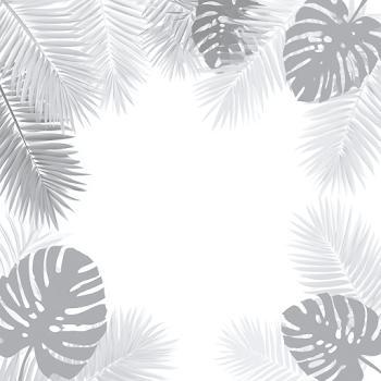 Minimal Tropical Botanical Frame Background