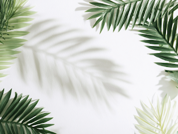 Minimal Tropical Flat Lay with Palm Fronds