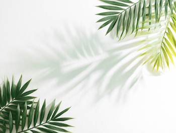 Minimal Tropical Flat Lay with Palm Fronds