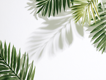 Minimal Tropical Palm Leaf Flat Lay