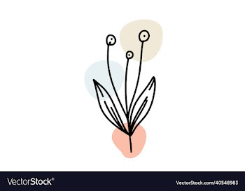 minimalist abstract floral line art