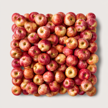 Minimalist Arrangement of Fuji Apples