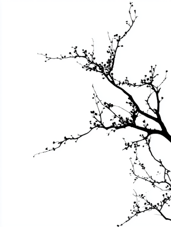 Minimalist Black Ink Cherry Blossom Silhouette