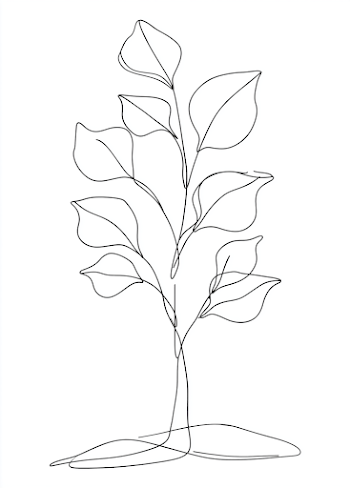 Minimalist Black Line Art Tree Illustration