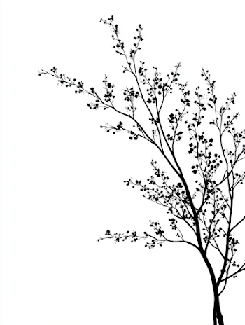 Minimalist Cherry Blossom Silhouette