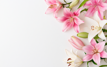 Minimalist Floral Arrangement with Lilies
