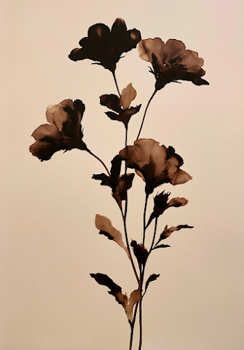 Minimalist Floral Silhouettes on Beige