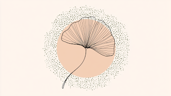 Minimalist Ginkgo Leaf Illustration