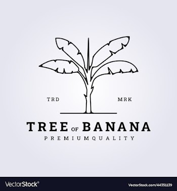 minimalist line banana tree logo