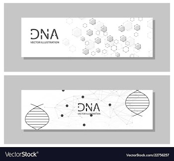 Minimalist medicine design of landing page vector image