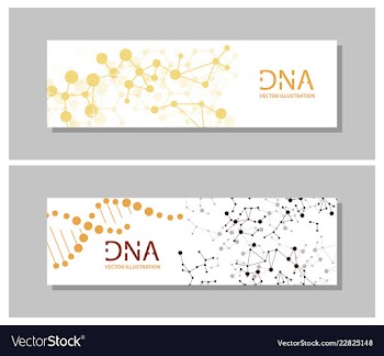 Minimalist medicine design of landing page vector image
