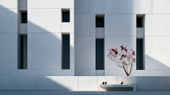 Minimalist Modern Concrete Building Exterior