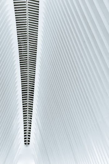 minimalist photography of building ceiling