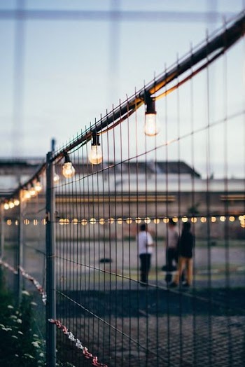 minimalist photography of gate with light bulbs string