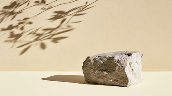 Minimalist Still Life of Limestone Rock