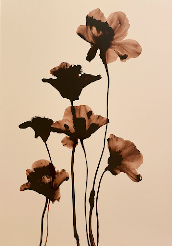 Minimalistic Brown Flower Silhouettes on Beige Background