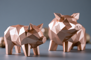Minimalistic Geometric Pig Decor for New Year