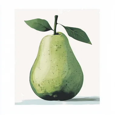 Minimalistic Illustrated Green Pear Minimalistic Illustrated Green Pear