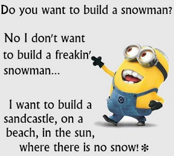 Minions hate snow : terriblefacebookmemes