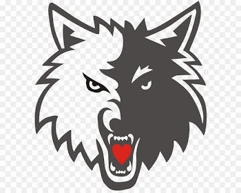 Minnesota Timberwolves 2008–09 NBA season New York Knicks Utah Jazz - Wolf logo 
