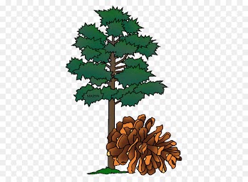 Minnesota Tree Pine Oak Clip art - tc stamp 